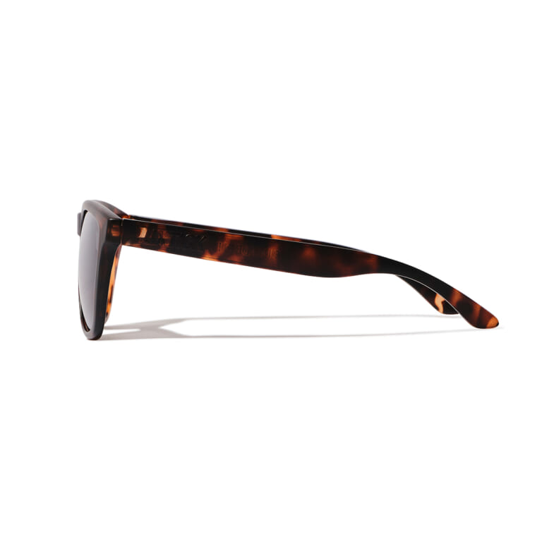 LIXTICK SUNGLASS / Shell