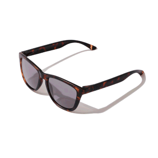 LIXTICK SUNGLASS / Shell LIXTICK SUNGLASS / Shell