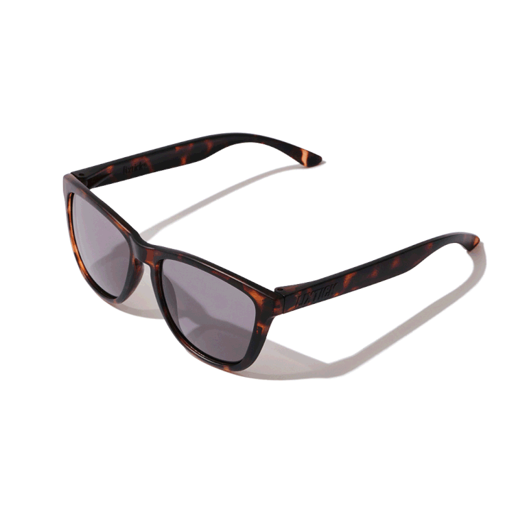 LIXTICK SUNGLASS / Shell